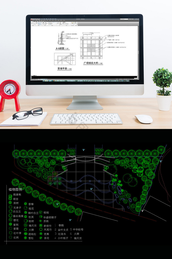 广场景观CAD绿化施工图图片