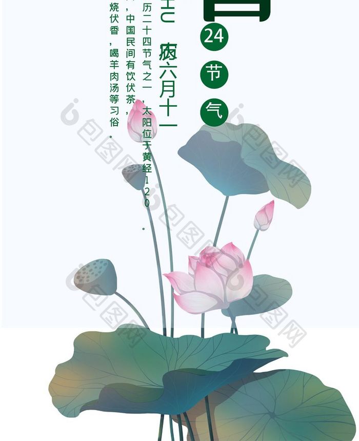 大暑荷花手机海报