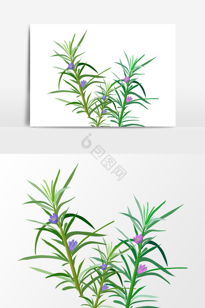植物免抠图图片