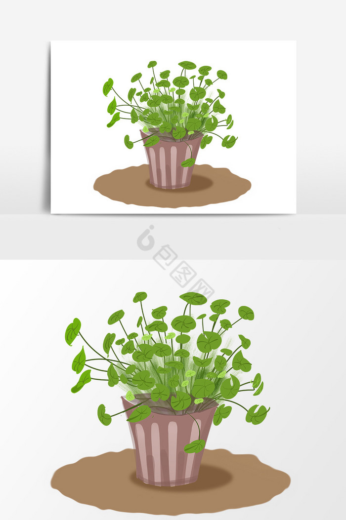 植物花盆图片