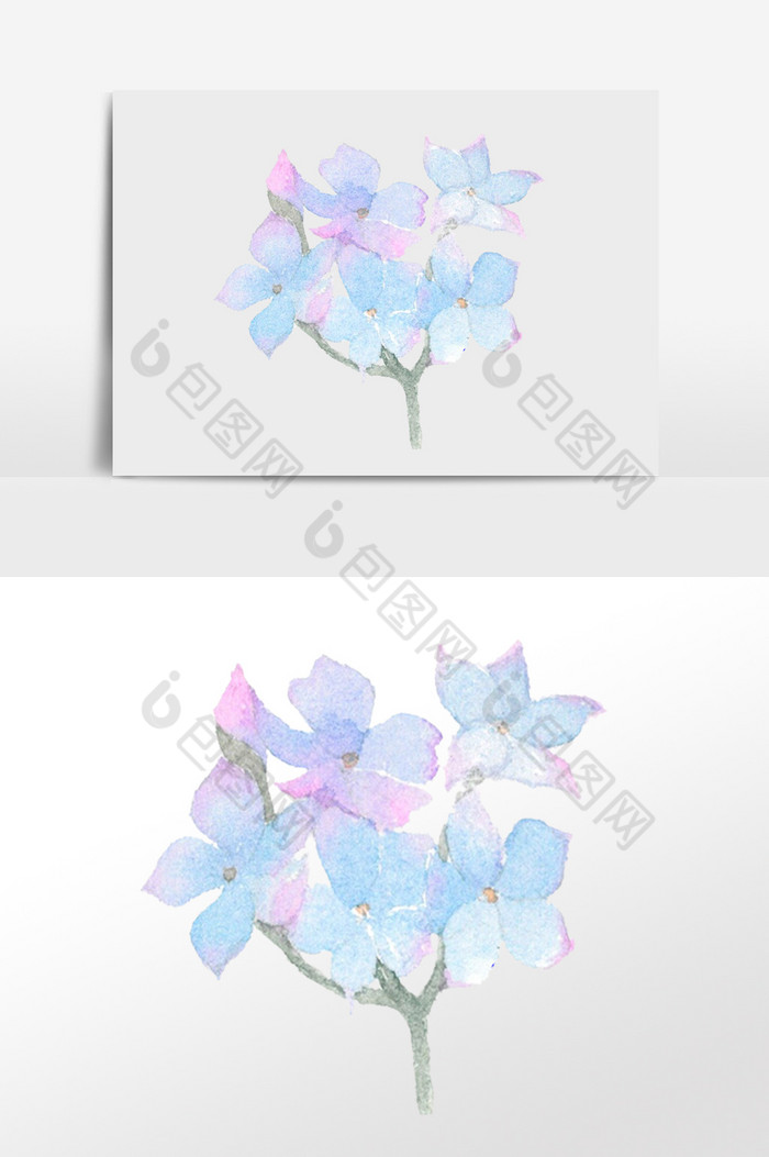 一束花朵蓝色图片