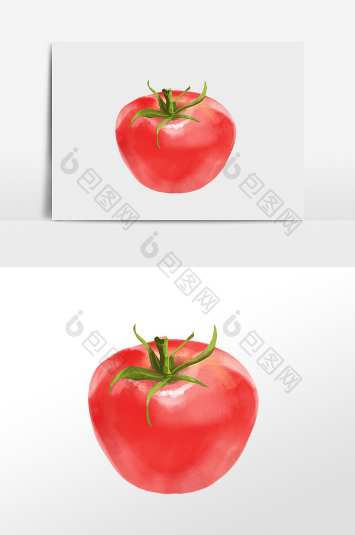 手绘番茄大番茄图片