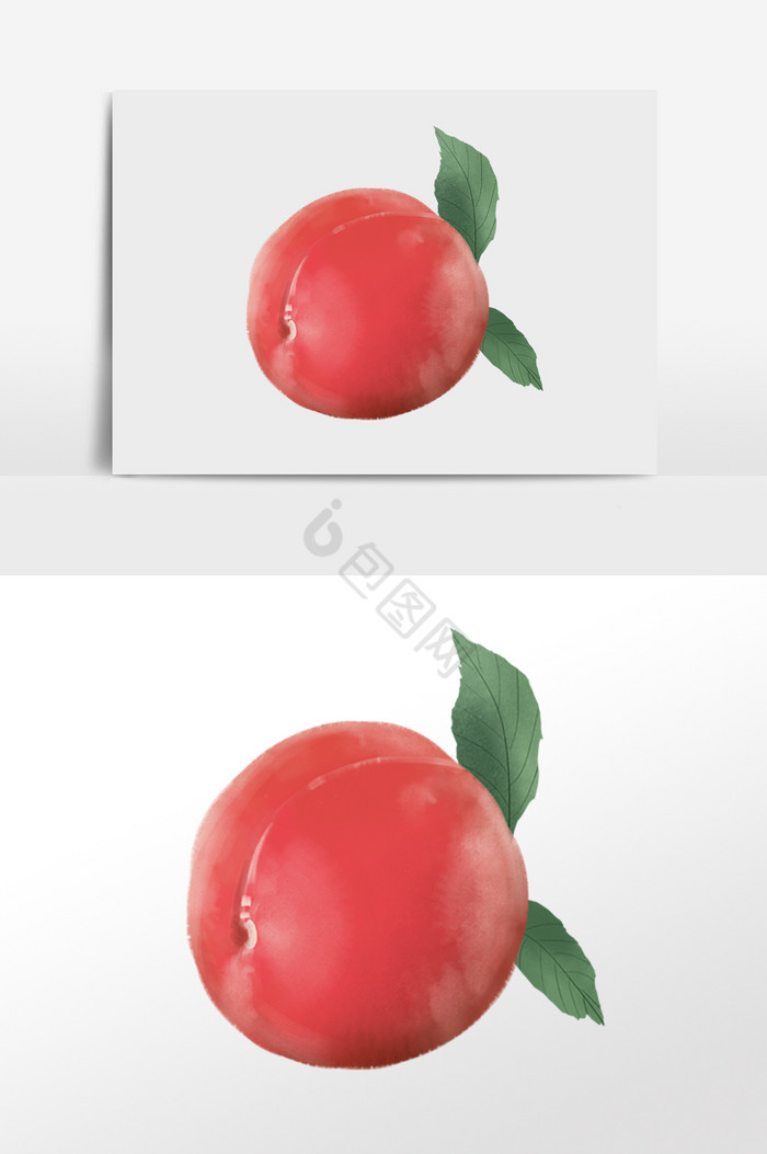 夏天桃子水果插画图片