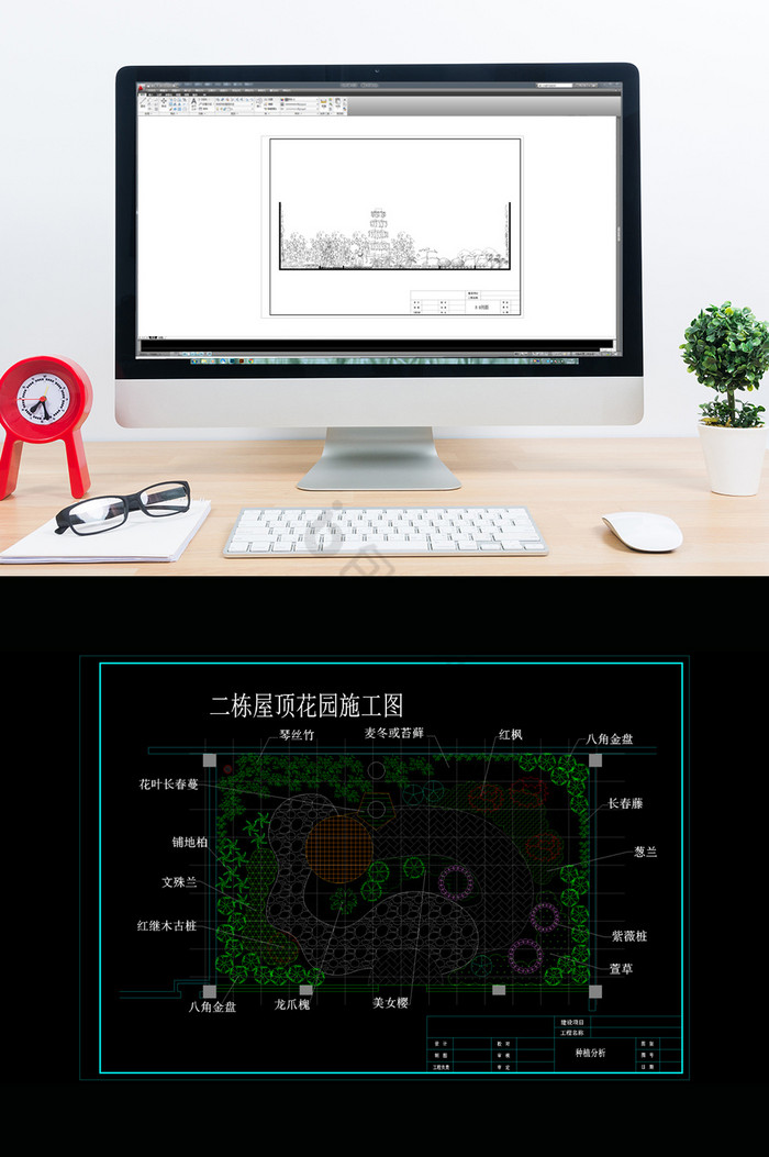 两栋屋顶花园绿化景观设计图CAD图片