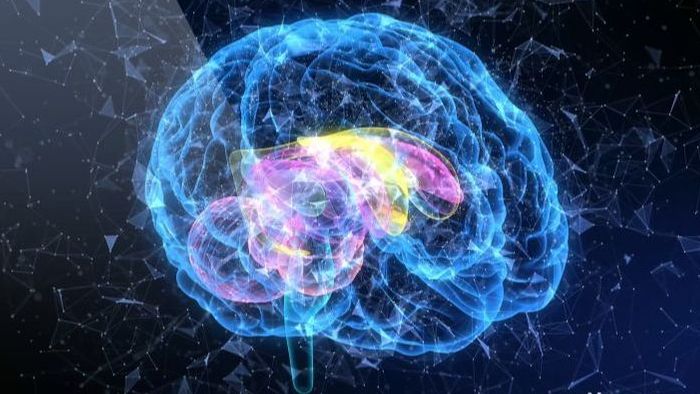 4K科技AI智能大脑