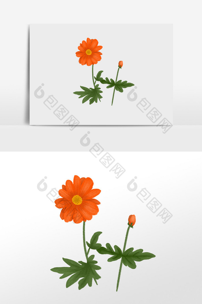 橙色花卉手绘插画元素