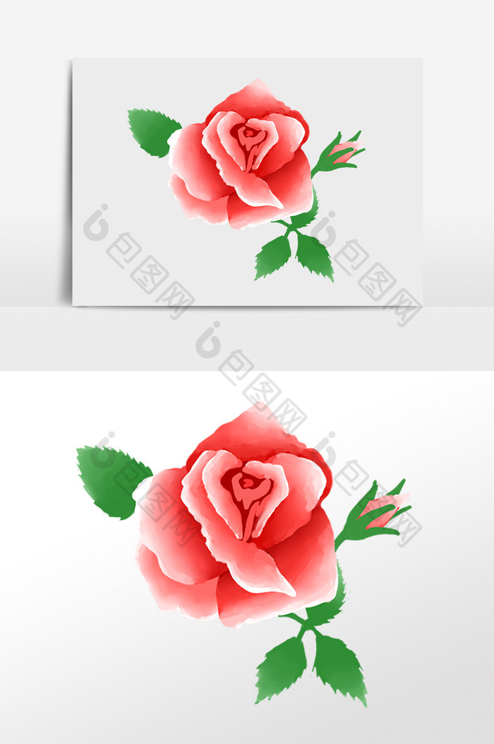 手绘玫瑰花花朵插画元素