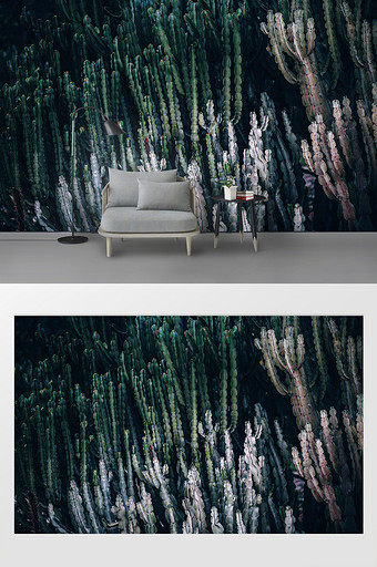现代简约仙人掌植物装饰影棚背景图片