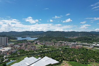 广州郊区花都的乡村风光自然美景清新景色