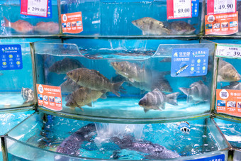 超市水产区鱼类