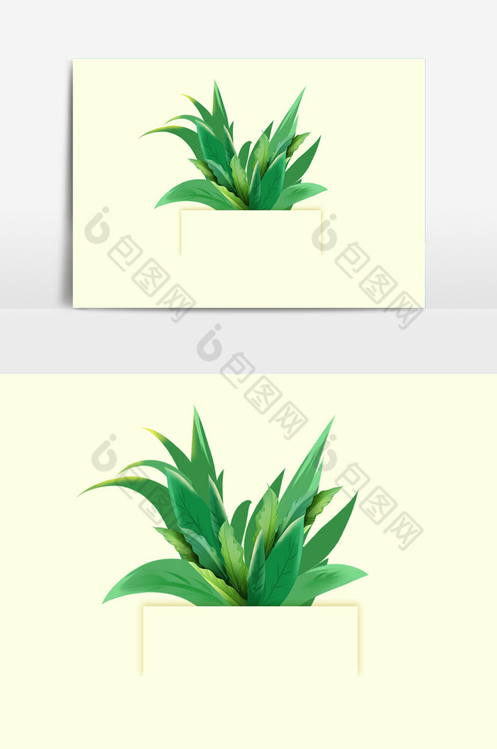 植物叶子图片图片