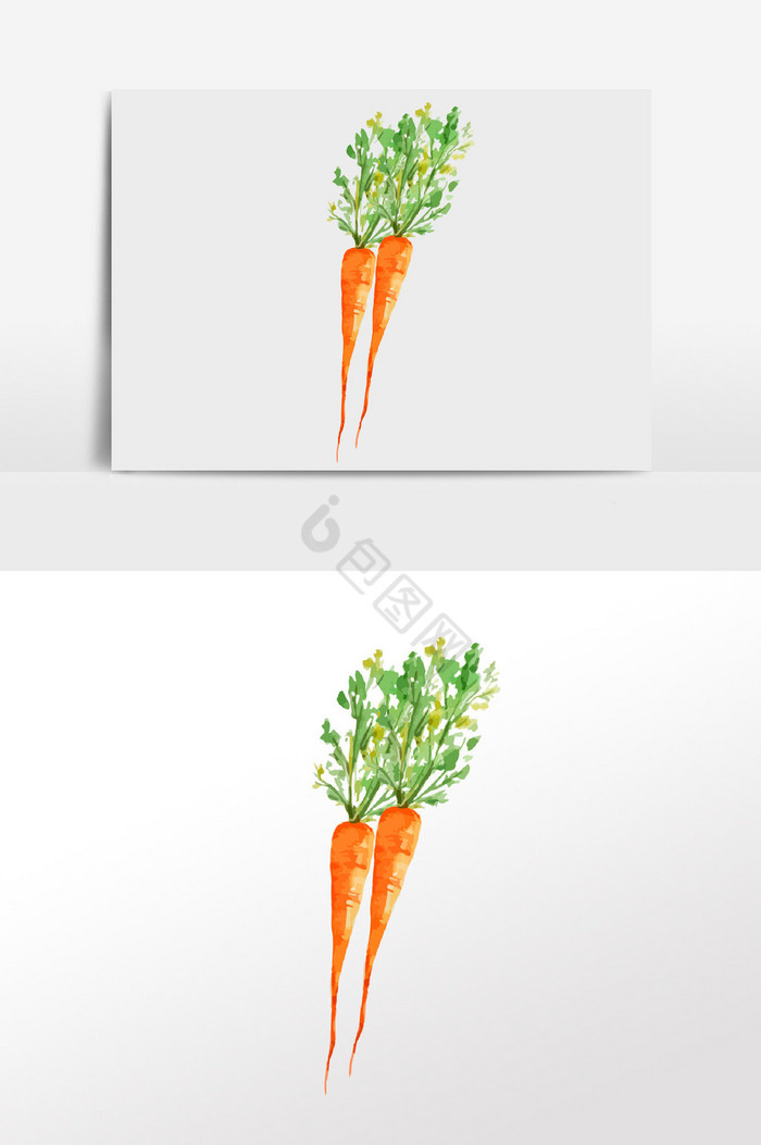 蔬菜胡萝卜健康生活图片