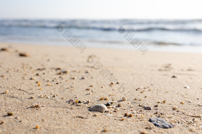 海滩贝壳赶海海浪空镜