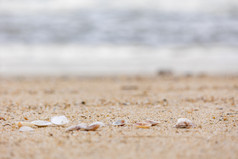 海景海滩浪花波浪沙滩