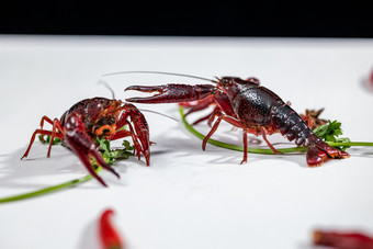 小龙虾活虾大虾生鲜食材