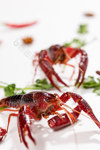 小龙虾活虾大虾生鲜食材