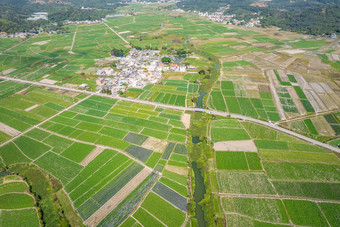 农田稻田丰收土地