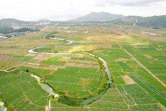 航拍马铃薯种植基地