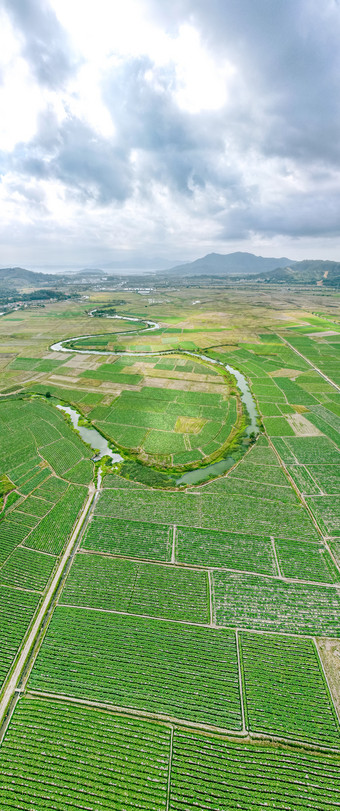 航拍马铃薯种植基地