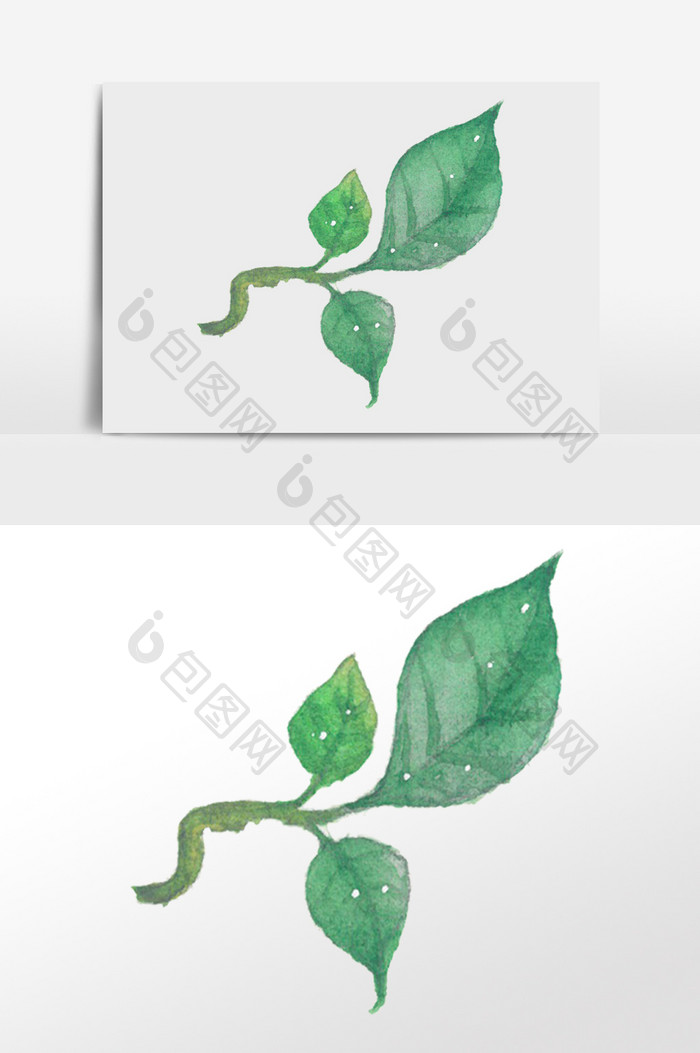 手绘绿萝绿藤叶植物插画元素