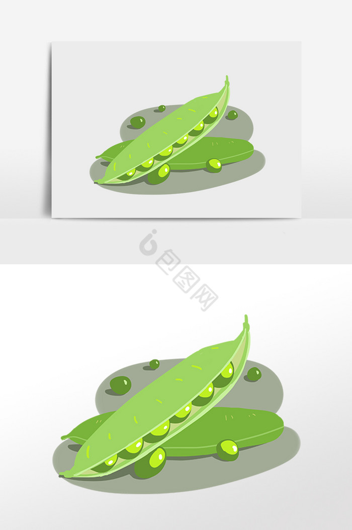 蔬菜豌豆荚豌豆插画图片
