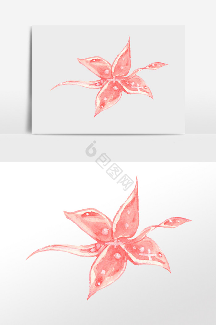 粉叶子插画图片