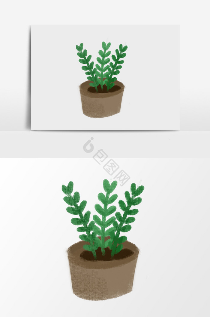 装饰植物盆栽图片