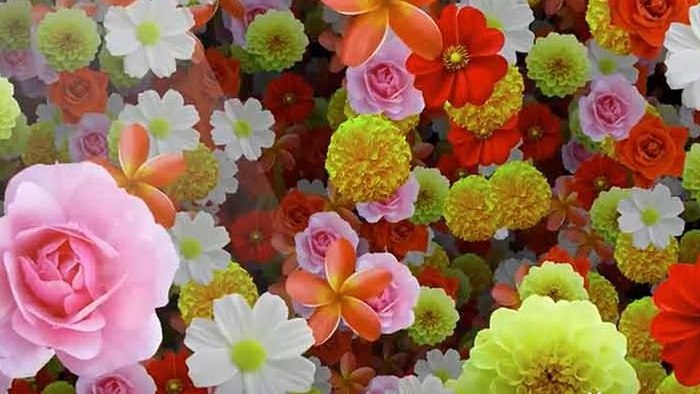 五彩缤纷花朵背景led视频素材