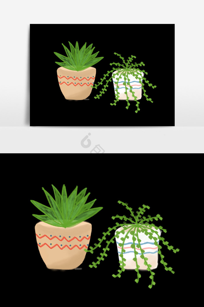 盆栽装饰植物图片