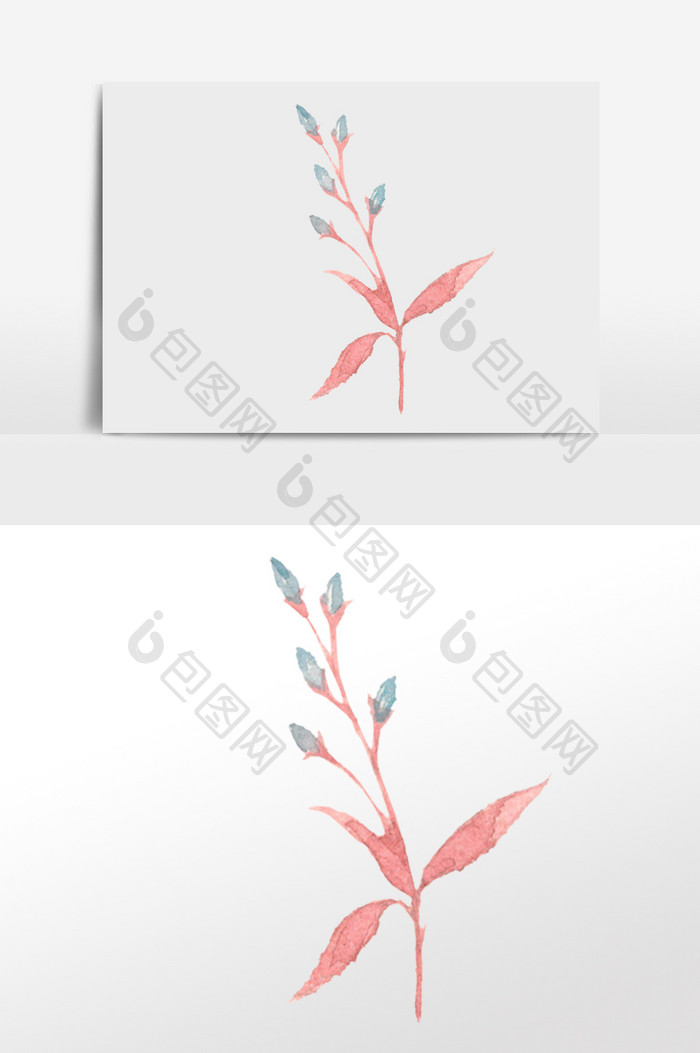 水彩花骨朵叶子插画元素