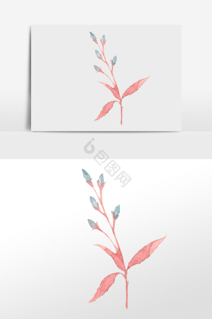 花骨朵叶子插画图片