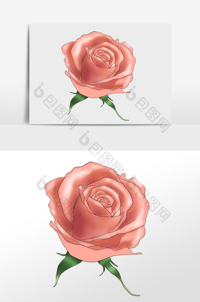 玫瑰花花朵插画元素