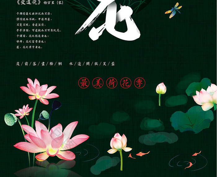 中国风最美荷花季赏花海报