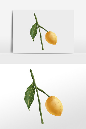 黄色小清新手绘水果黄皮插画元素图片