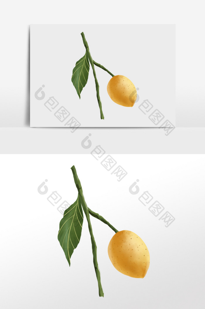 黄色小清新手绘水果黄皮插画元素