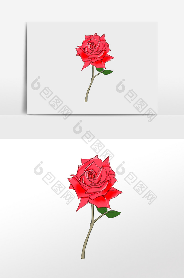 玫瑰花花朵插画元素