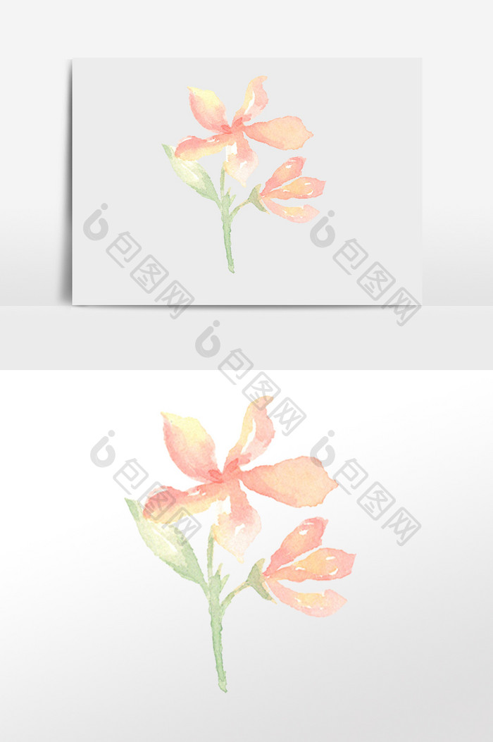 清新水彩植物花卉花朵插画元素