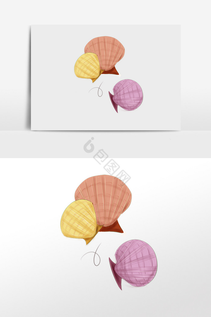 海产品贝壳插画图片