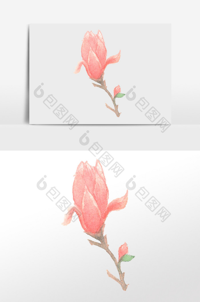 水彩粉红色花朵插画元素