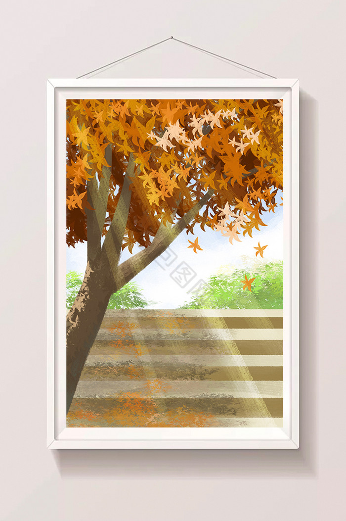 秋天阳光下的枫树插画图片