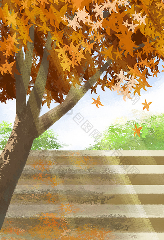 秋天阳光下的枫树手绘插画背景
