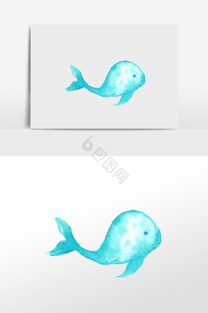 海洋动物蓝鲸插画图片