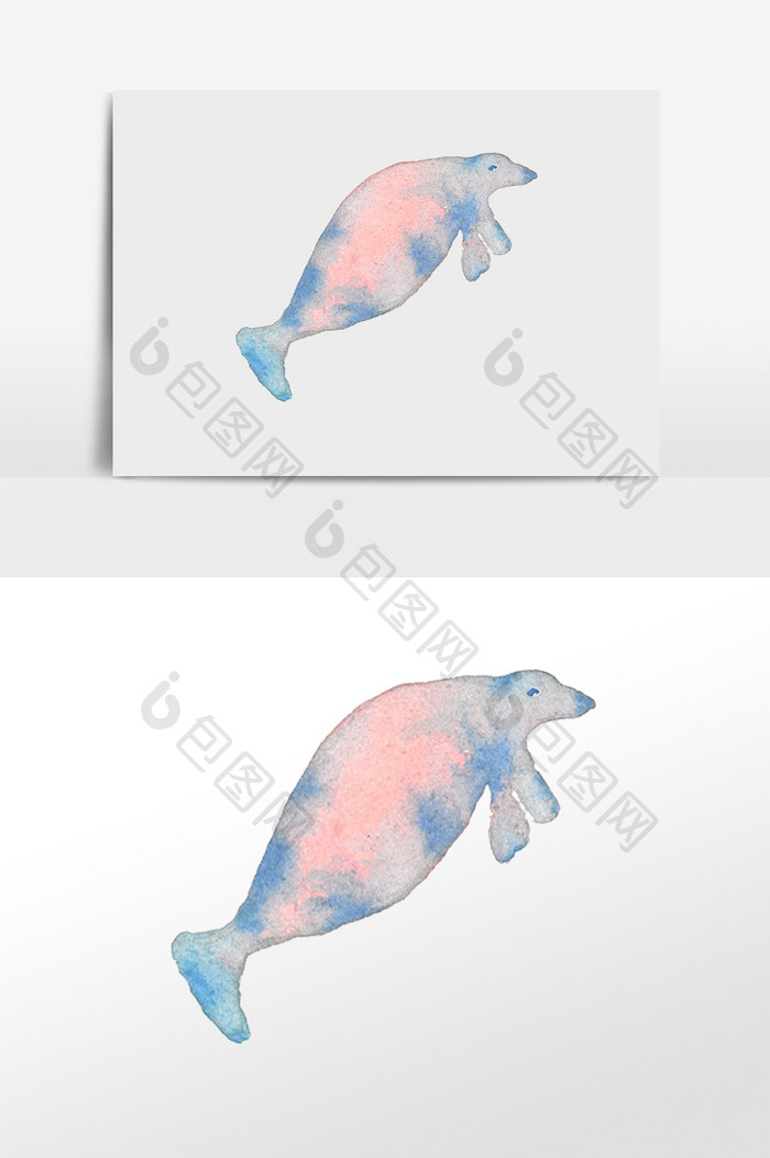 手绘海洋动物海狮插画元素