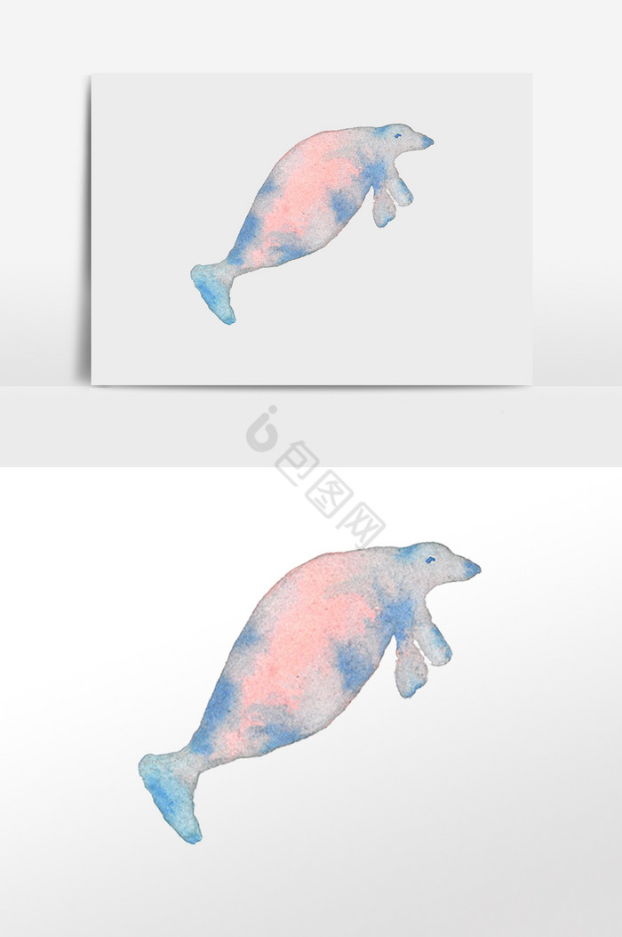 海洋动物海狮插画图片