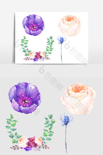 手绘花卉元素+插画装饰图片