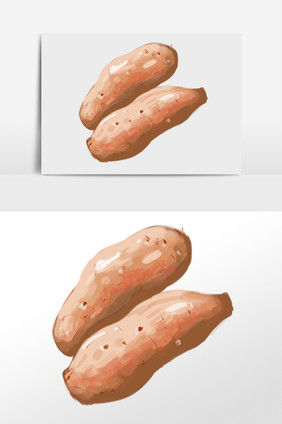 红薯插画