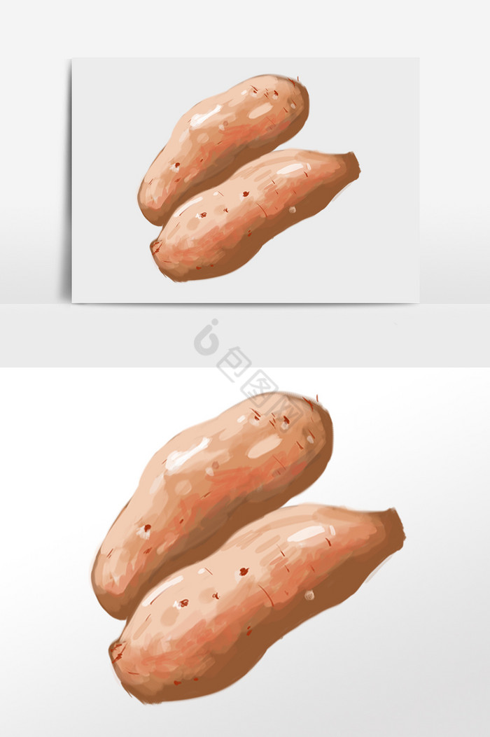 红薯插画图片