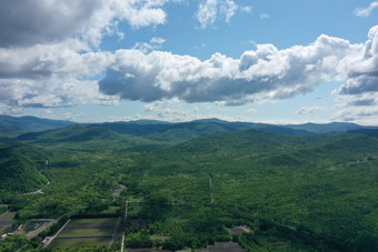 森林绿植风景<strong>摄影</strong>图