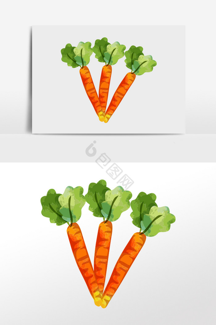 胡萝卜食物插画图片