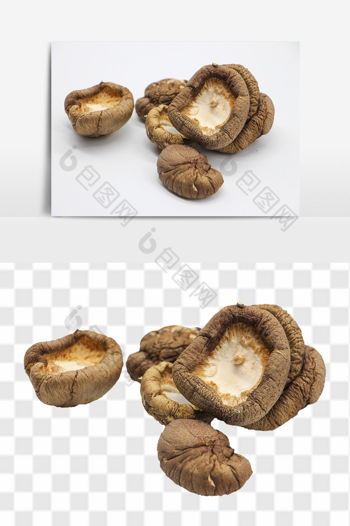 金钱菇冬菇香菇图片